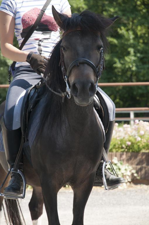 Agriturismo Jesson Rosamund 칸투 외부 사진
