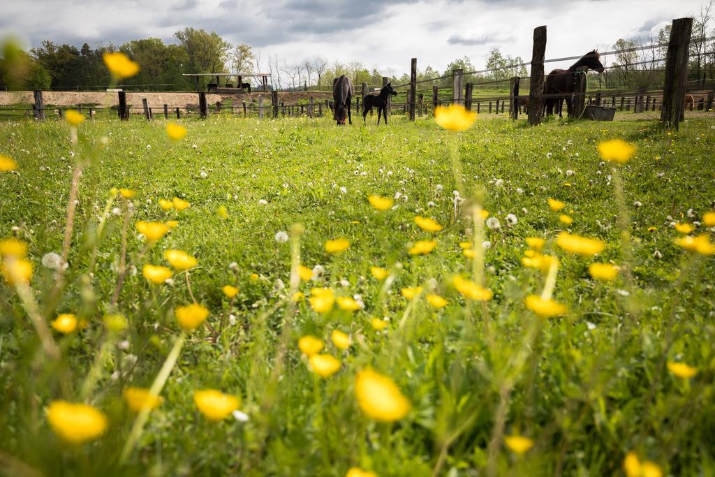Agriturismo Jesson Rosamund 칸투 외부 사진